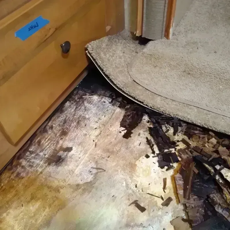 Wood Floor Water Damage in Fallon County, MT